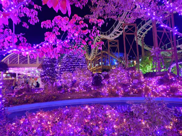 ひらかたパークに投稿された画像（2024/12/1）