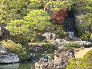 足立美術館に投稿された画像（2024/12/1）