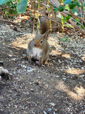 神戸どうぶつ王国に投稿された画像（2024/12/1）
