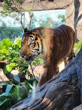 神戸どうぶつ王国に投稿された画像（2024/12/1）