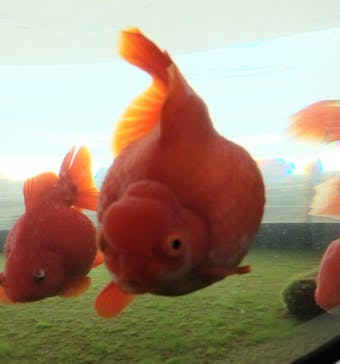 環境水族館アクアマリンふくしまに投稿された画像（2024/12/1）