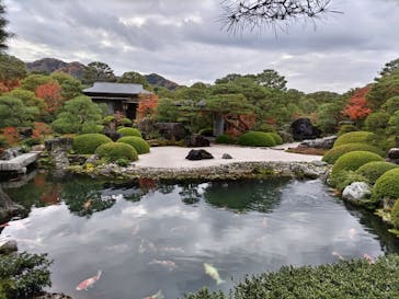 足立美術館に投稿された画像（2024/12/1）