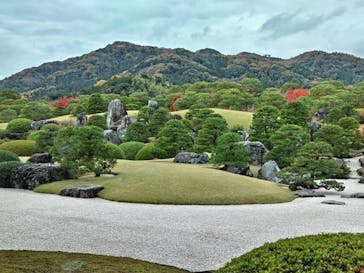 足立美術館に投稿された画像（2024/12/1）