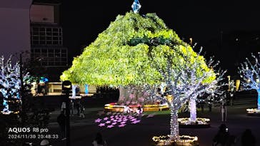 東京メガイルミに投稿された画像（2024/12/1）