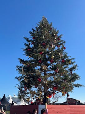 Christmas Market in 横浜赤レンガ倉庫 2025に投稿された画像（2024/12/1）