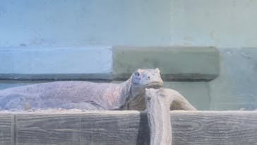 名古屋市東山動植物園に投稿された画像（2024/12/1）