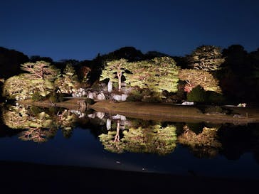 六義園に投稿された画像（2024/12/1）