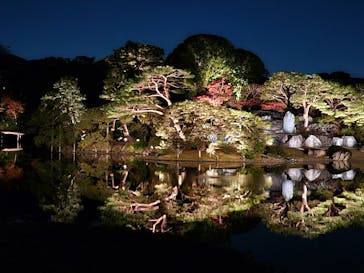 六義園に投稿された画像（2024/12/1）