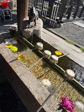 京都ミステリー紀行に投稿された画像（2024/12/1）
