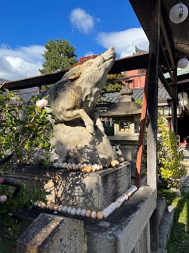 京都ミステリー紀行に投稿された画像（2024/12/1）