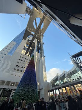 梅田スカイビル・空中庭園展望台に投稿された画像（2024/12/1）