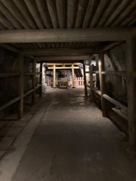 土肥金山に投稿された画像（2024/12/1）