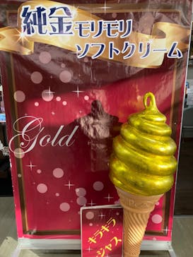 土肥金山に投稿された画像（2024/12/1）