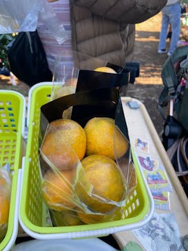 芝口果樹園に投稿された画像（2024/12/1）