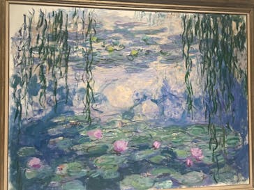 モネ 睡蓮のとき（国立西洋美術館）に投稿された画像（2024/12/1）