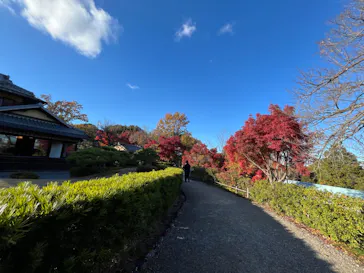博物館 明治村に投稿された画像（2024/12/1）