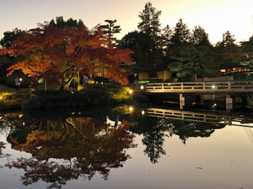国営昭和記念公園 秋の夜散歩に投稿された画像（2024/12/1）