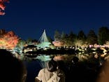国営昭和記念公園 秋の夜散歩に投稿された画像（2024/12/1）
