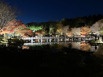 国営昭和記念公園 秋の夜散歩に投稿された画像（2024/12/1）
