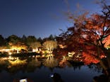国営昭和記念公園 秋の夜散歩に投稿された画像（2024/12/1）