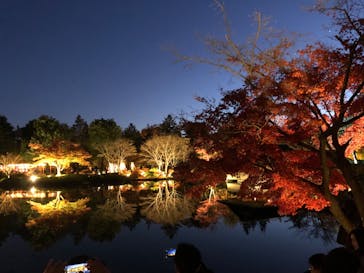 国営昭和記念公園 秋の夜散歩に投稿された画像（2024/12/1）