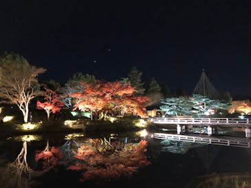国営昭和記念公園 秋の夜散歩に投稿された画像（2024/12/1）