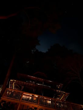 大井川鐵道株式会社に投稿された画像（2024/12/1）