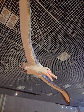 特別展「鳥 ～ゲノム解析が解き明かす新しい鳥類の系統～」国立科学博物館に投稿された画像（2024/12/1）