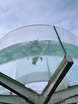 越前松島水族館に投稿された画像（2024/12/1）