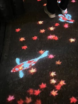 国営昭和記念公園 秋の夜散歩に投稿された画像（2024/12/1）