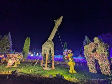 東武動物公園に投稿された画像（2024/12/1）