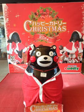 阿蘇カドリー・ドミニオンに投稿された画像（2024/12/1）