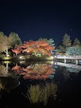 国営昭和記念公園 秋の夜散歩に投稿された画像（2024/12/1）