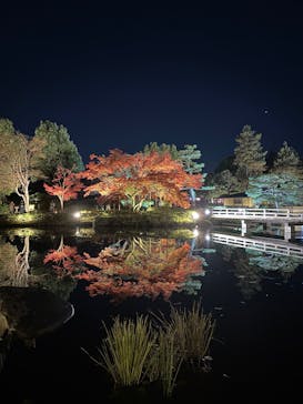 国営昭和記念公園 秋の夜散歩に投稿された画像（2024/12/1）