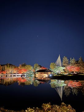 国営昭和記念公園 秋の夜散歩に投稿された画像（2024/12/1）
