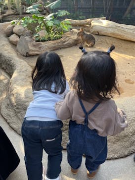 神戸どうぶつ王国に投稿された画像（2024/12/1）