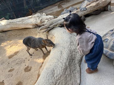 神戸どうぶつ王国に投稿された画像（2024/12/1）