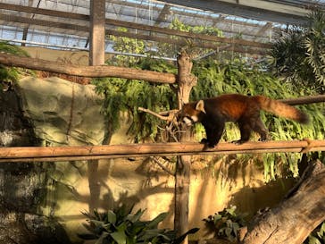 神戸どうぶつ王国に投稿された画像（2024/12/1）