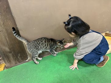 神戸どうぶつ王国に投稿された画像（2024/12/1）