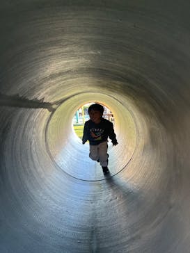 浜名湖パルパルに投稿された画像（2024/12/1）