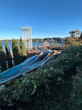 浜名湖パルパルに投稿された画像（2024/12/1）