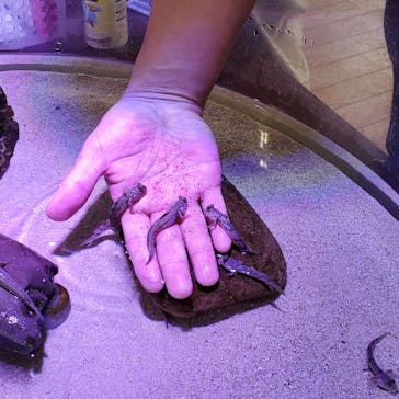 南知多ビーチランド＆南知多おもちゃ王国に投稿された画像（2024/12/1）