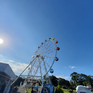 南知多ビーチランド＆南知多おもちゃ王国に投稿された画像（2024/12/1）