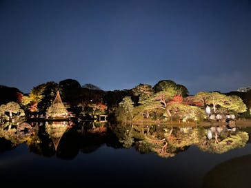 六義園に投稿された画像（2024/12/1）