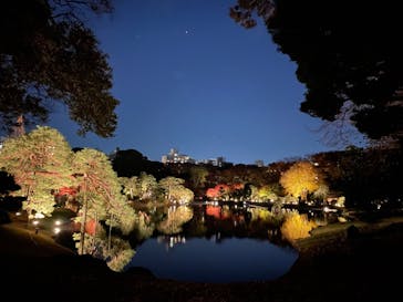 六義園に投稿された画像（2024/12/1）