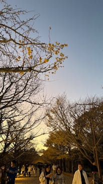 国営昭和記念公園 秋の夜散歩に投稿された画像（2024/12/1）