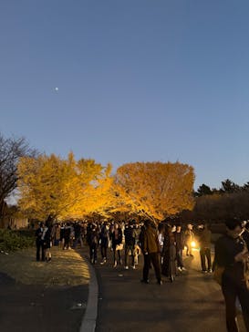国営昭和記念公園 秋の夜散歩に投稿された画像（2024/12/1）