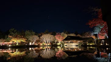 国営昭和記念公園 秋の夜散歩に投稿された画像（2024/12/1）