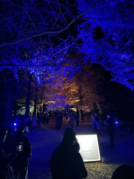 国営昭和記念公園 秋の夜散歩に投稿された画像（2024/12/1）