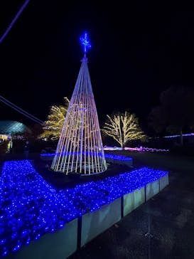 とっとり花回廊に投稿された画像（2024/12/1）